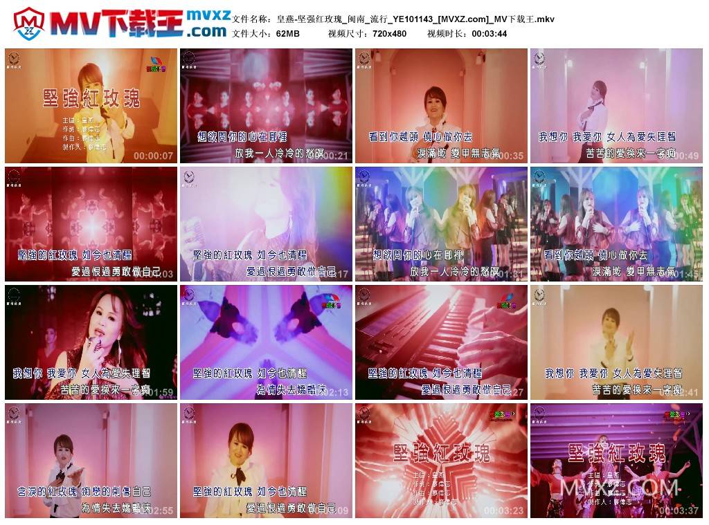 皇燕-坚强红玫瑰_闽南_流行_YE101143